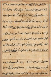 Side fra Tales of a Parrot (Tuti-nama): tekstside af Unknown artist
