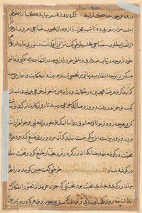 Side fra Tales of a Parrot (Tuti-nama): tekstside af Unknown artist