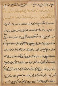 Side fra Tales of a Parrot (Tuti-nama): tekstside af Unknown artist