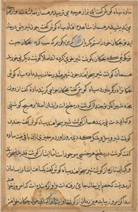 Side fra Tales of a Parrot (Tuti-nama): tekstside af Unknown artist