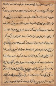 Side fra Tales of a Parrot (Tuti-nama): tekstside af Unknown artist