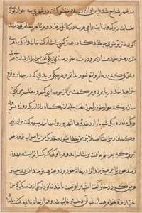 Side fra Tales of a Parrot (Tuti-nama): tekstside af Unknown artist