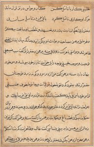 Side fra Tales of a Parrot (Tuti-nama): tekstside af Unknown artist