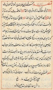 Side fra Tales of a Parrot (Tuti-nama): tekstside af Unknown artist