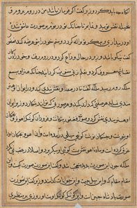 Side fra Tales of a Parrot (Tuti-nama): tekstside af Unknown artist