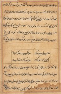 Side fra Tales of a Parrot (Tuti-nama): tekstside af Unknown artist