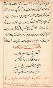 Side fra Tales of a Parrot (Tuti-nama): tekstside af Unknown artist