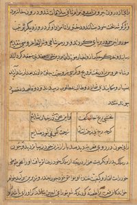 Side fra Tales of a Parrot (Tuti-nama): tekstside af Unknown artist