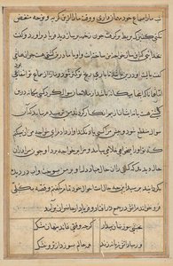Side fra Tales of a Parrot (Tuti-nama): tekstside af Unknown artist