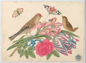 Par brune fugle på buket med tulipaner, roser og løvedrager, med sommerfugle af Unknown artist