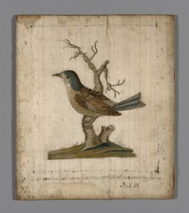 Billede af en fugl af Unknown artist