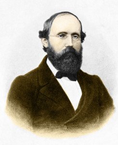 Portræt af Bernhard Riemann (1826-1866.) tysk matematiker af Unknown artist