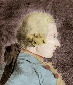 Portræt af Donatian Alphonse Francois de Sade (1740-1814) (Marquis de Sade) - efter Van Loo af Unknown artist