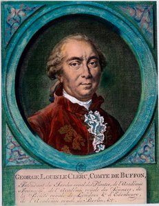 Portræt af George Louis Le Clerc, greve af Buffon (1707-1788), fransk naturforsker og forfatter. Indgravering af det 18. århundrede. Privat samling. af Unknown artist