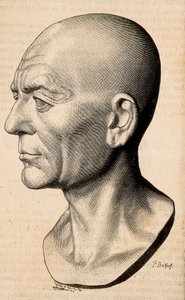 Portræt af Publius Cornelius Scipio (Scipio den afrikanske) Africanus, romersk statsmand (235-183 f.Kr.). af Unknown artist