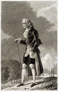 Portræt af Voltaire (1694 - 1778), fransk forfatter og filosof, ældre. af Unknown artist