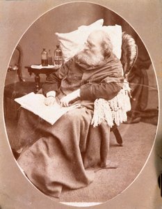 Portræt af den italienske patriot og helte af Risorgimento Giuseppe Garibaldi (1807-1882) i Caprera i 1882. Fotografi Privat Samling af Unknown artist