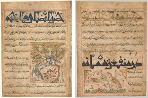 Kvaliteter af Ringduer (recto); Om fordelene ved vagtler (verso), fra en persisk Manafi