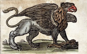 Repræsentation af en griffon, fantastisk væsen halv ørn halv løve. Gravering fra et værk af Athanasius Kircher (1601 - 1680), jesuite, orientalist og lærd. af Unknown artist