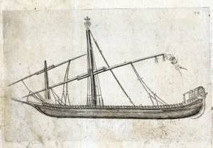 Set fra siden af en kabys. 1700-tals gravering. af Unknown artist