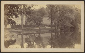 [Silverspring Pond] af Unknown artist