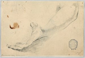 Skitse: Underarm af Unknown artist
