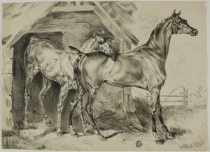Stående Hoppe og Høl af Unknown artist