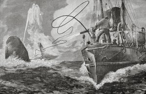 Dampskibe som hvalfangere af Unknown artist