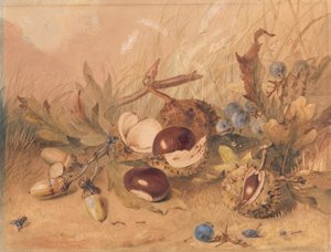 Stilleben med agern og hestekastanjer af Unknown artist