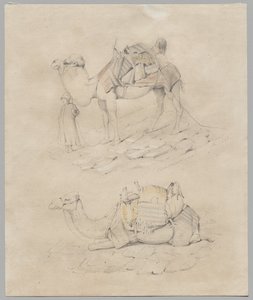 Studie af kameler af Unknown artist