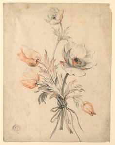 Studie af en flok roser af Unknown artist