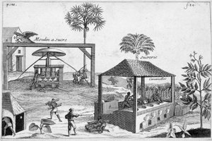 Sukkerfremstilling: Sukkermølle og sukkermølle - i "" General History of Drugs, Simple and Compounded"" af Pomet af Unknown artist