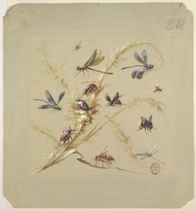 Tekstil- eller tapetdesign: Insekter af Unknown artist