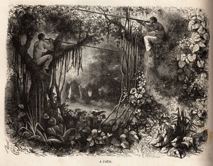 Yahua-indianerne i Peru er på udkig efter vildt, siddepinde i grenene og våben fra sarbacans med forgiftede flechetter. Indgravering til illustration af rejsen fra Stillehavet til L