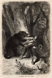 Forfatteren bliver under en udflugt rundt i Jacksonville overrasket i skoven af en tambjørn og kæde. Gravering for at illustrere historien fire måneder i Florida, af Achille Pousselgue i 1851-1852, udgivet i "" Le tour du monde"" 1870-1871, redigeret af Unknown artist