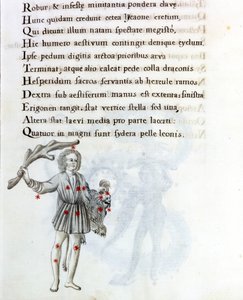 Konstellationen repræsenteret er Bouvier (eller Støvler), som støtter Berenices hår med venstre hånd. Side af et manuskript fra det 18. århundrede baseret på det originale manuskript "Astronomica" af Biasino da Parma (Blaise of Parma) (1425-1457) dateret af Unknown artist