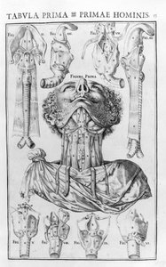 Menneskets stemmeorgan efter Giovanni Casseri ""Stemmens og høreorganets anatomiske historie""" Ferrara 1601. af Unknown artist