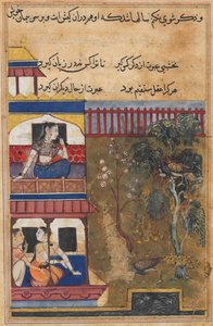 Dronningen af Rom ser på, at pånen foretrækker at brænde i stedet for at opgive sine æg, mens påfuglen flygter fra reden, fra en Tuti-nama (Fortællinger om en papegøje): Niogtredive nat af Unknown artist