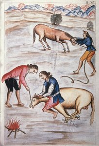 Den røde jernmærke af en hoppe, fra bogen "Trujillo del Peru" eller "Codex Martinez Companion", af Baltazar Martinez Companion og Bujanda, biskop af Trujillo (1782-1785) af Unknown artist