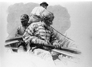 Roerne på en båd på Anapo-floden på Sicilien. af Unknown artist
