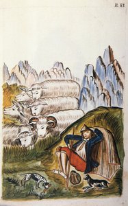 Hyrden og hans flok får, fra bogen "Trujillo del Peru" eller "Codex Martinez Companion", af Baltazar Martinez Companion og Bujanda, biskop af Trujillo (1782-1785) af Unknown artist