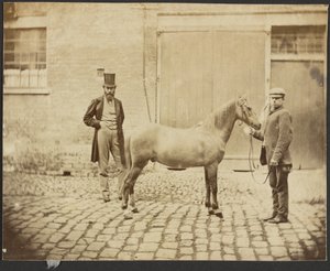 [To mænd og en hest] af Unknown artist