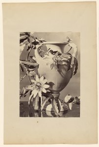 [Vase med passionsblomster] af Unknown artist