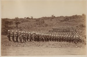 91. højlændere vender tilbage fra Zululand 1879 (s/h-foto) af Unknown photographer