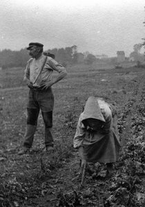 Couple de peasants working la terre, Somme 1921 Fotografi (Franske bønder arbejder i markerne, Somme 1921) Privat samling af Unknown photographer