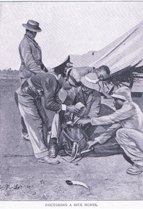 Læge en syg hest, fra After Pretoria: The Guerilla War udgivet af Harmsworth Bros Limited af Unknown photographer