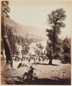 Indian Mountain Artillery batteri af Unknown photographer