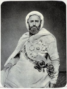 Portræt af Abd-el-Kader (Abd El-Kader) i 1875 - fotografi. af Unknown photographer