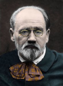 Portræt af Emile Zola 1890