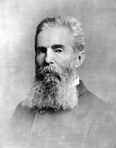 Portræt af Herman Melville (1819 -1891) amerikansk forfatter. af Unknown photographer